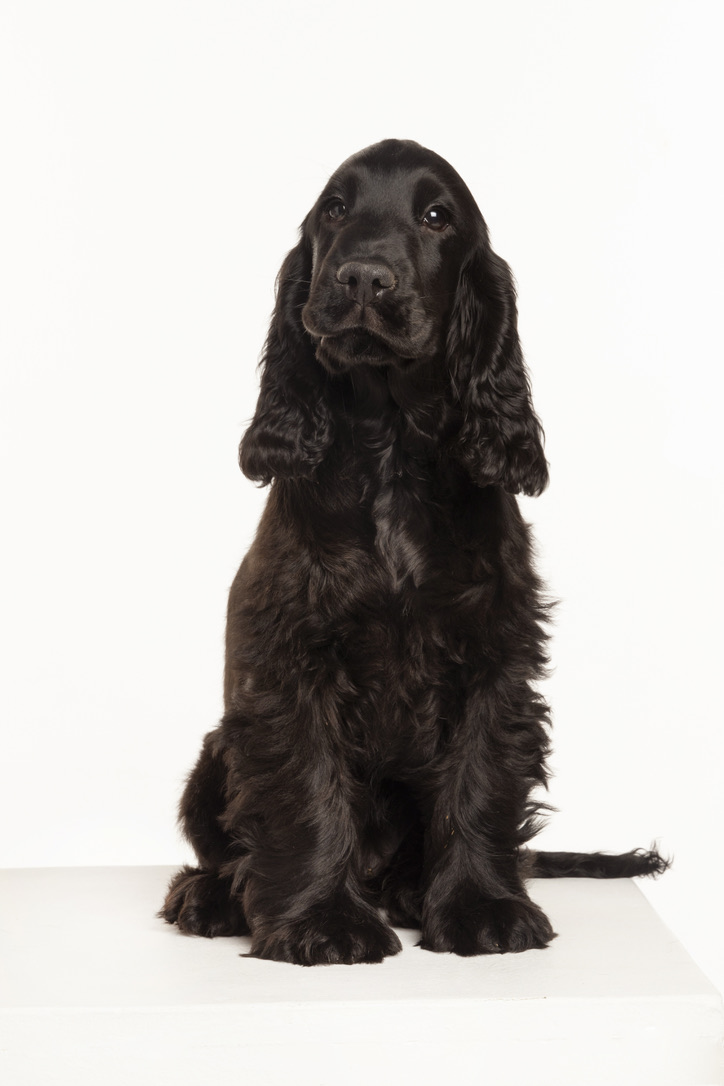Charlie